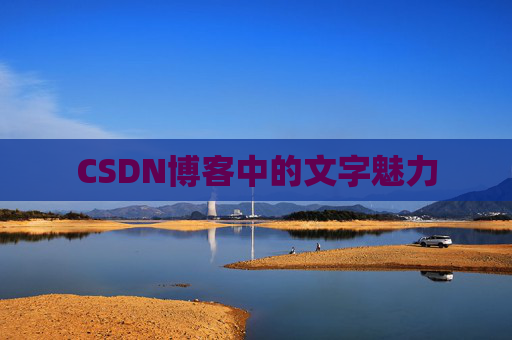 CSDN博客中的文字魅力